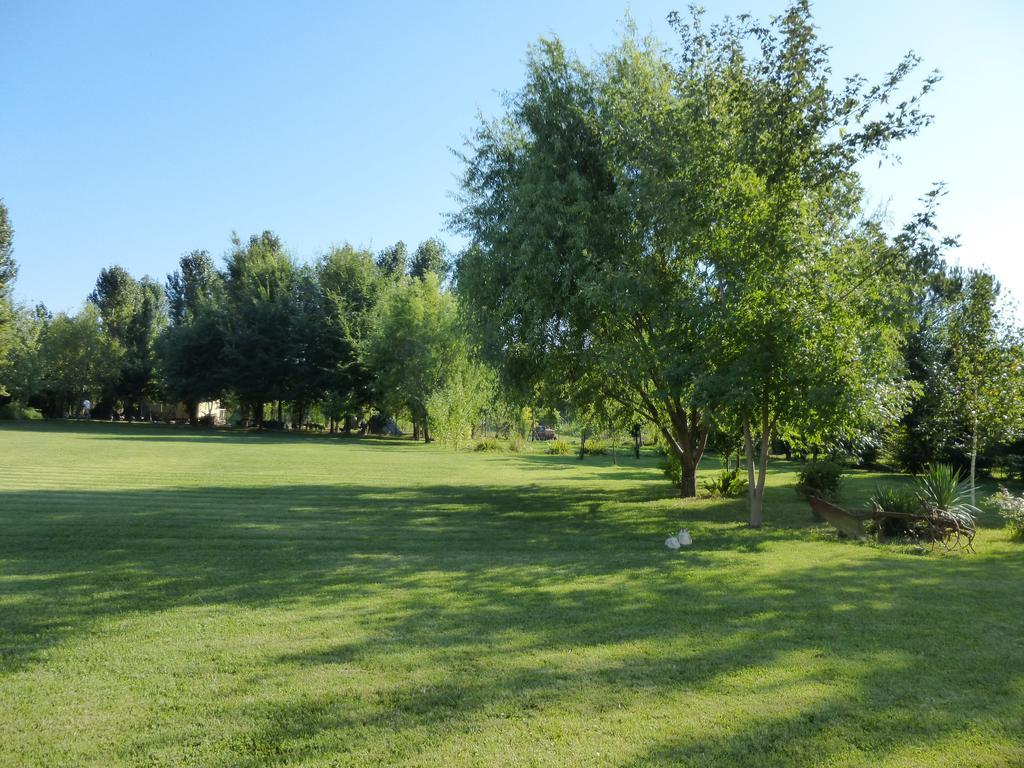 Agriturismo Ai Carpini Маркон Экстерьер фото